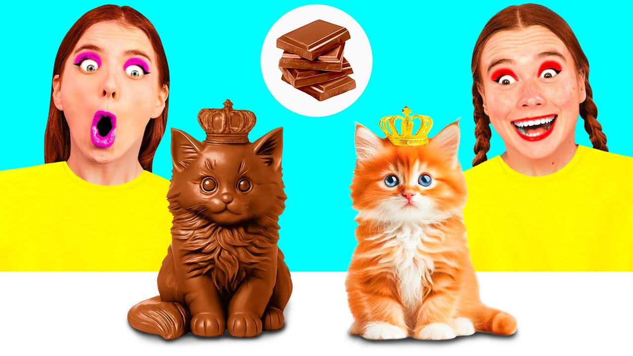 Челлендж. Шоколадная Еда vs Настоящая еда | Умные Гаджеты или Лайфхаки от BaRaDa Best