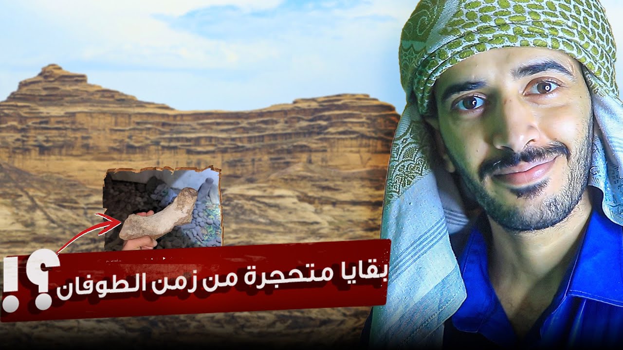 لأول مرة | فواكه وأخشاب متحجرة من سفينة نوح باليمن!
