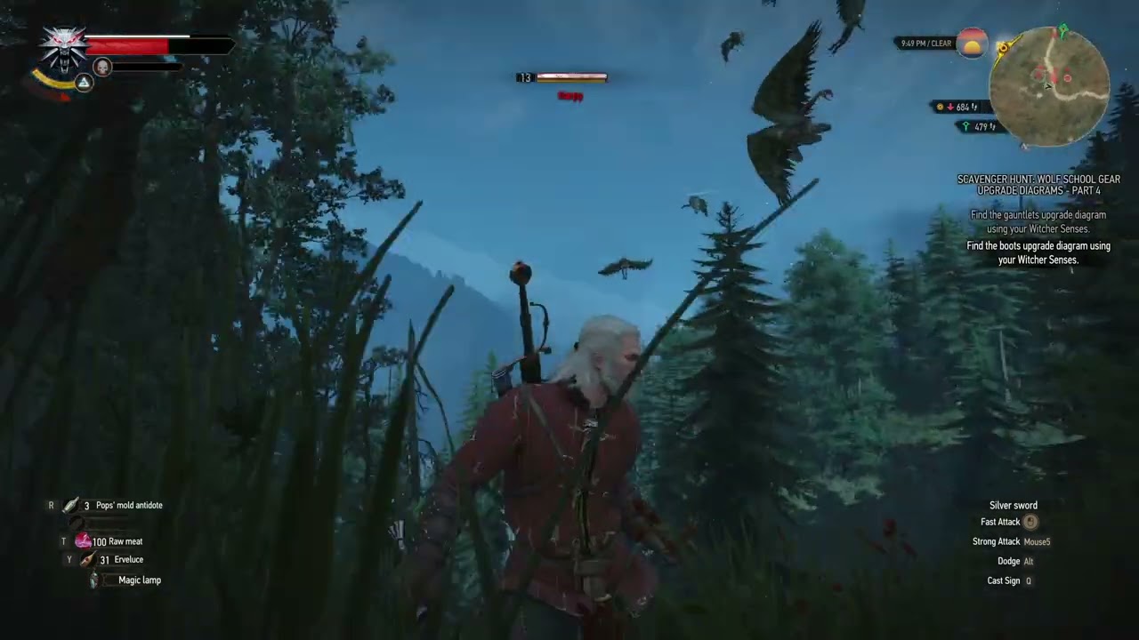 Epic Witcher Gameplay part 193