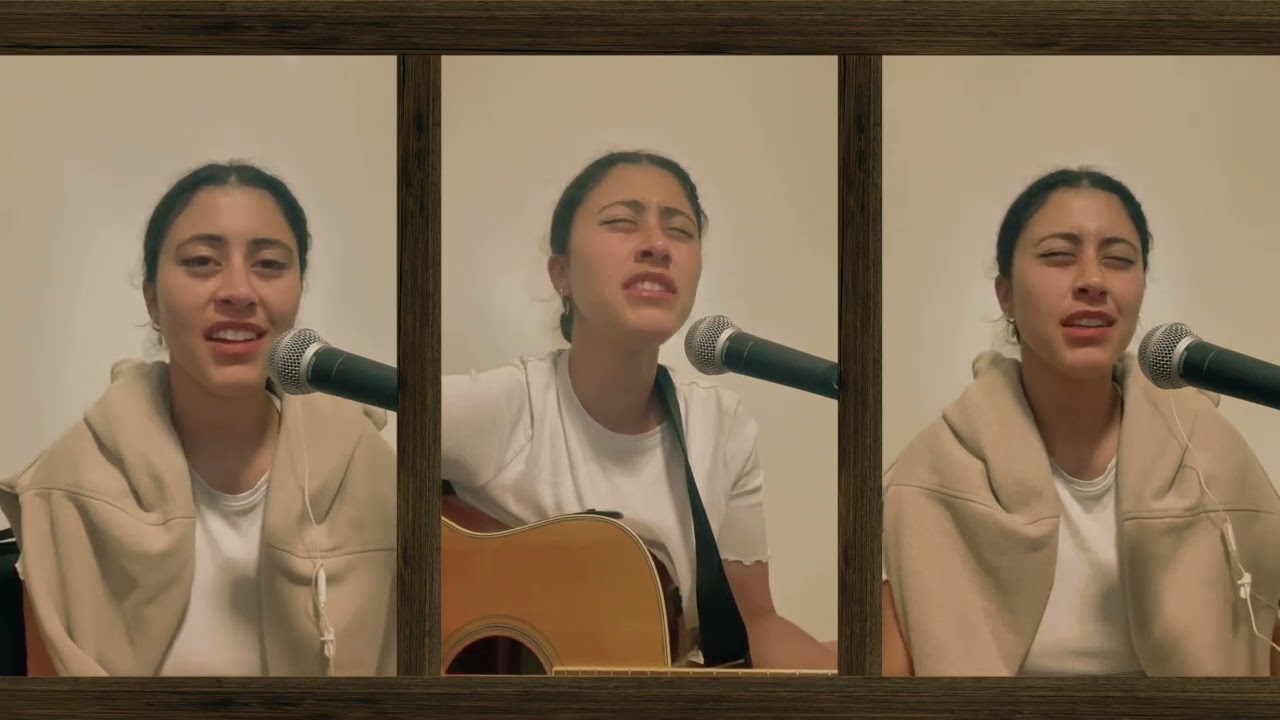 wood - taylor swift cover