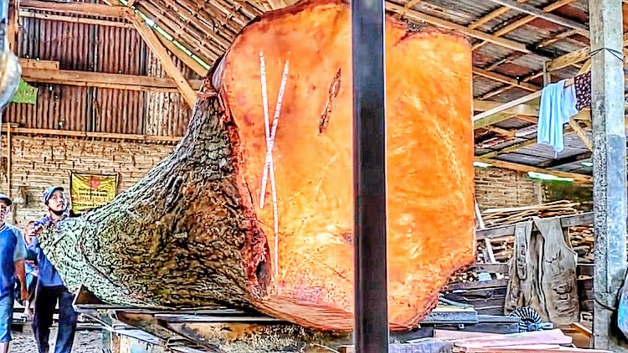 From Giant Mahogany Log to Stunning Mahogany Planks at the Sawmill 🌲🪵