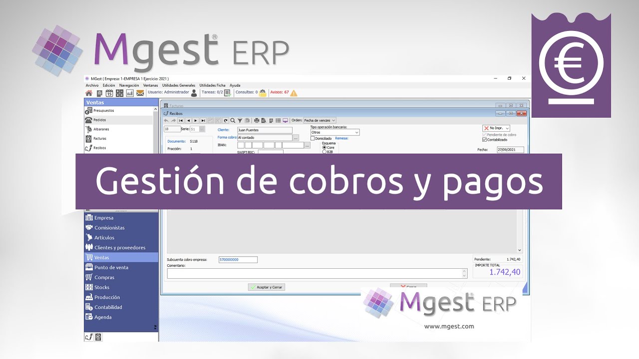 MGest ERP: Gesti&oacute;n de cobros y pagos