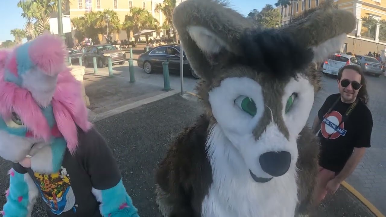 Fursuits in Old San Juan Pt3