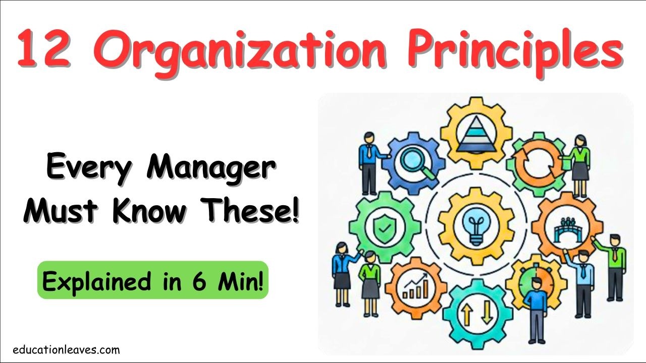 Organization principles | Principles of Organization