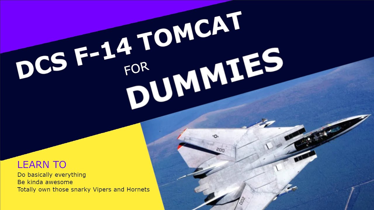 DCS F-14 TOMCAT for DUMMIES Chapter 1: Pilot and RIO Cold Start Procedure