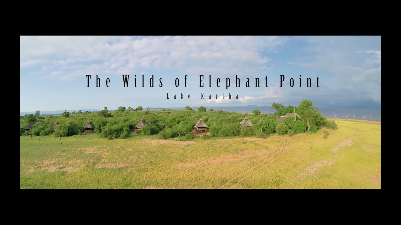 The Wilds of Elephant Point - Wildlife of Lake Kariba in HD