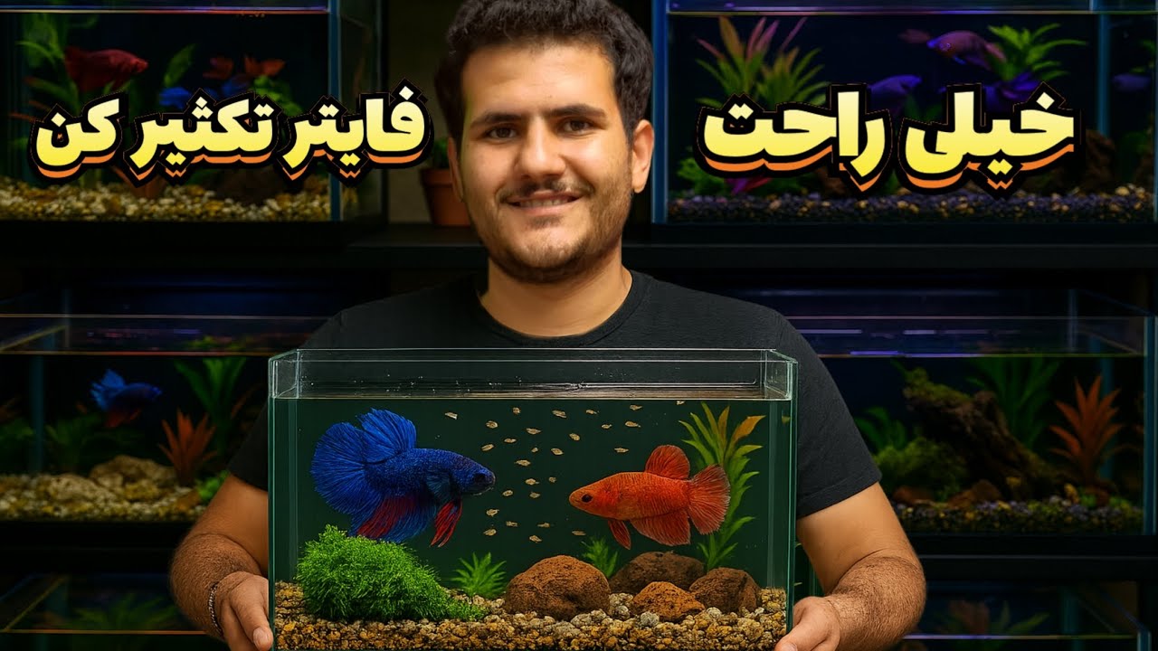 بهترین روش تکثیر فایتر 