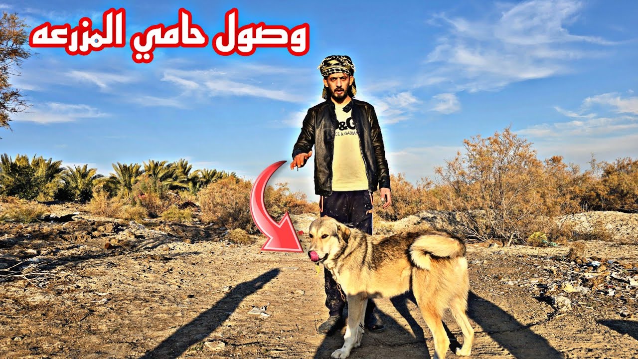 وصلول حامي المزرعه تكملت الحضيره