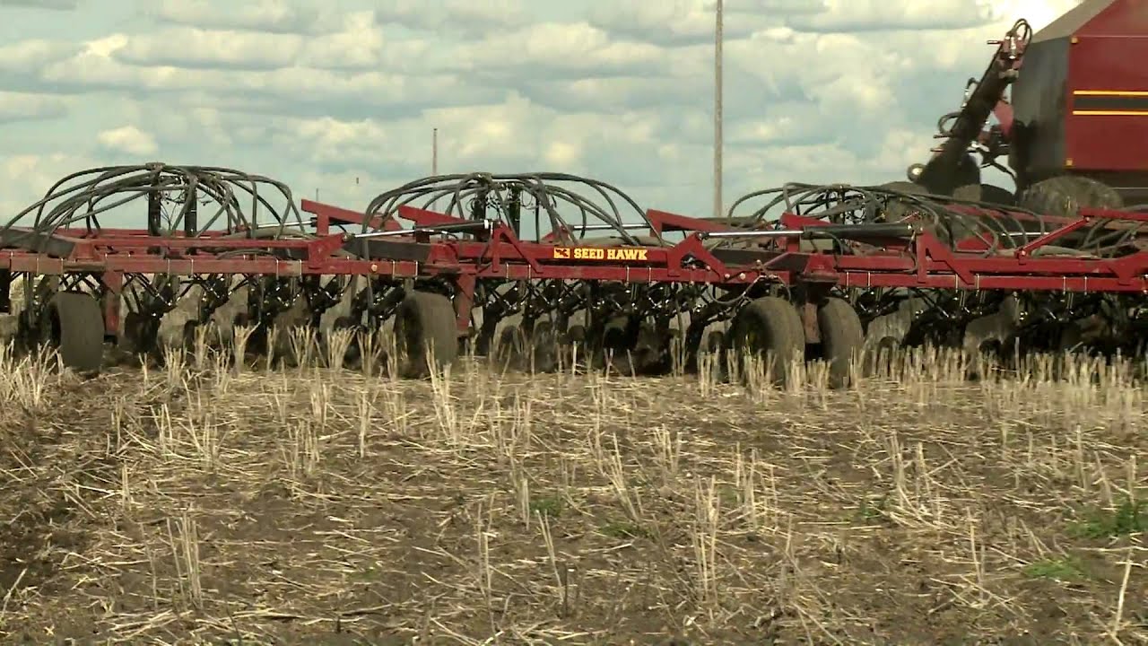 Seed Hawk Products