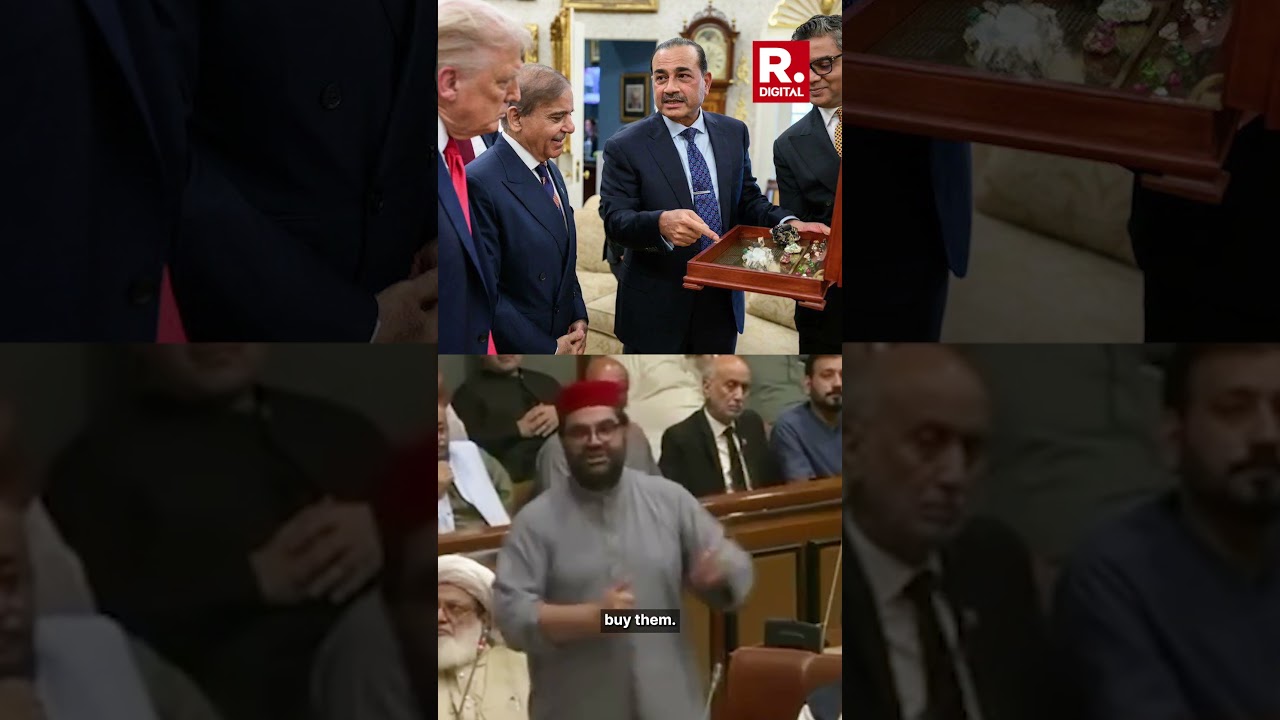 Salesman Munir Meeting World Leaders Is Mockery Of Democracy: Pak Lawmaker