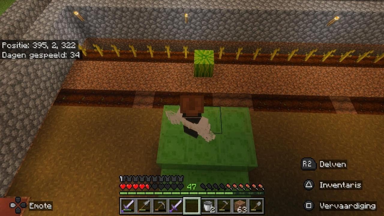 Minecraft