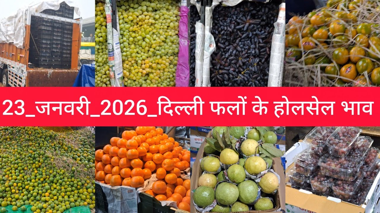 January 23, 2026 दिल्ली फलों के भाव Delhi fruit market price APMC fruit market price #fruitmarket