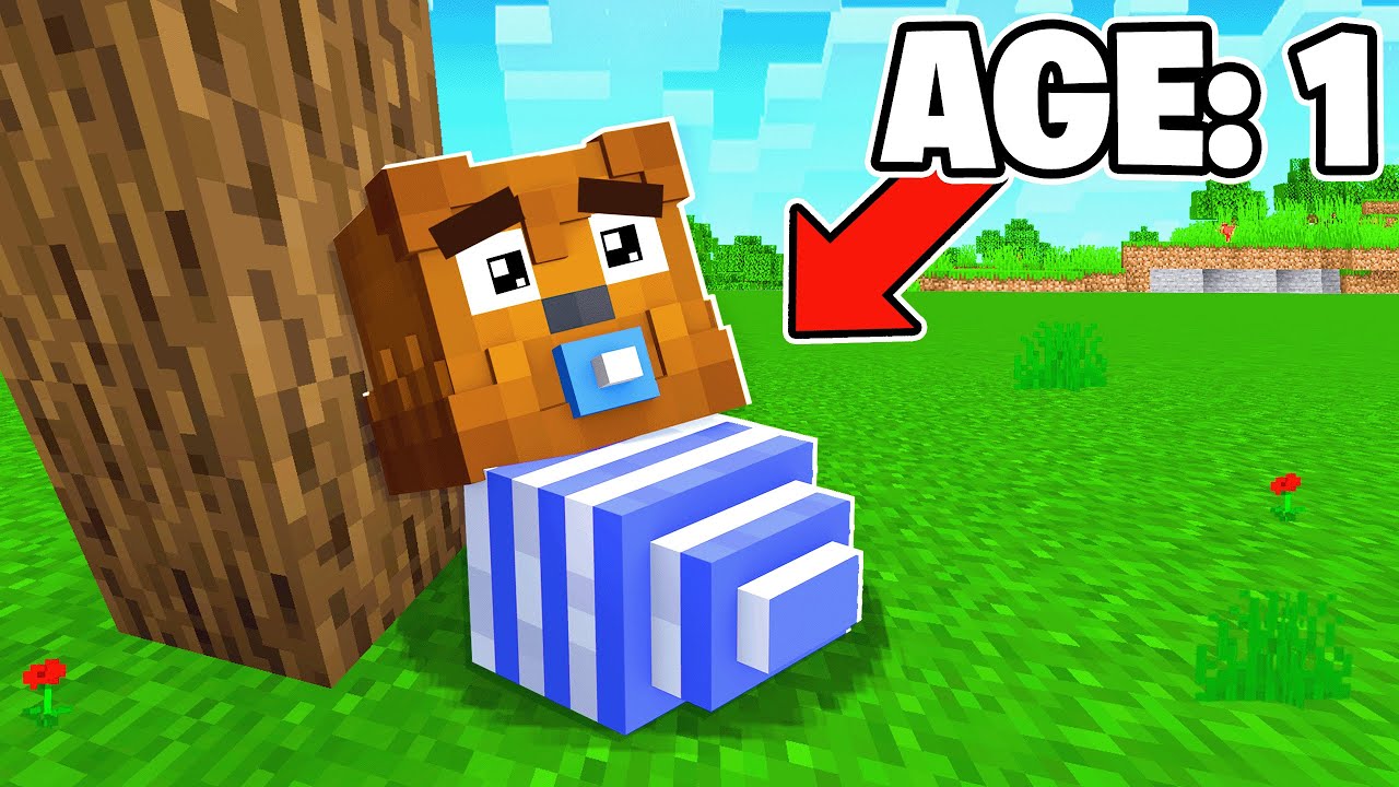Minecraft But You Change Our Age