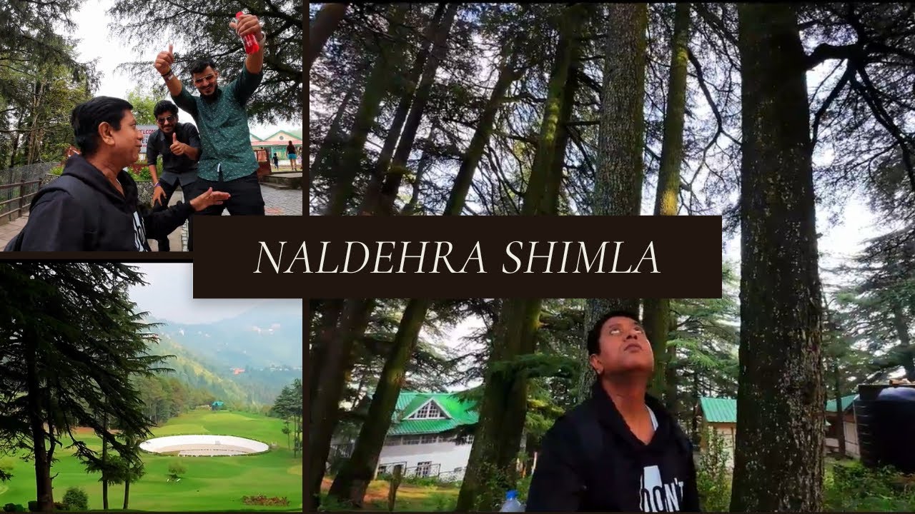 Don't Miss NALDEHRA SHIMLA's Hidden Gems in Himachal Pradesh!