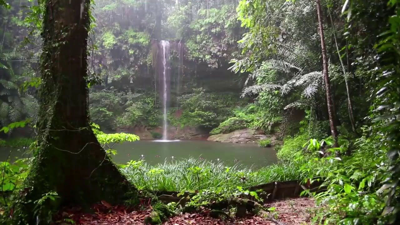 Meditation Rain with Relaxing Nature Sound in Bali, Indonesia