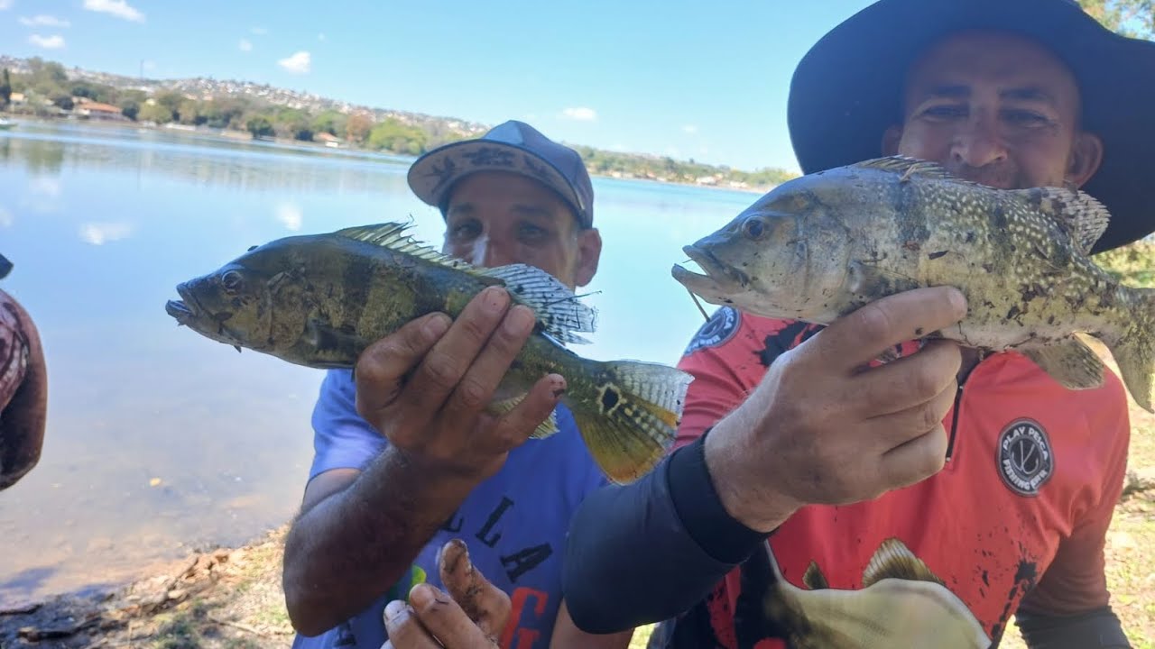 Pescaria de tucunaré em lagoa santa MG com muita ação e dicas.