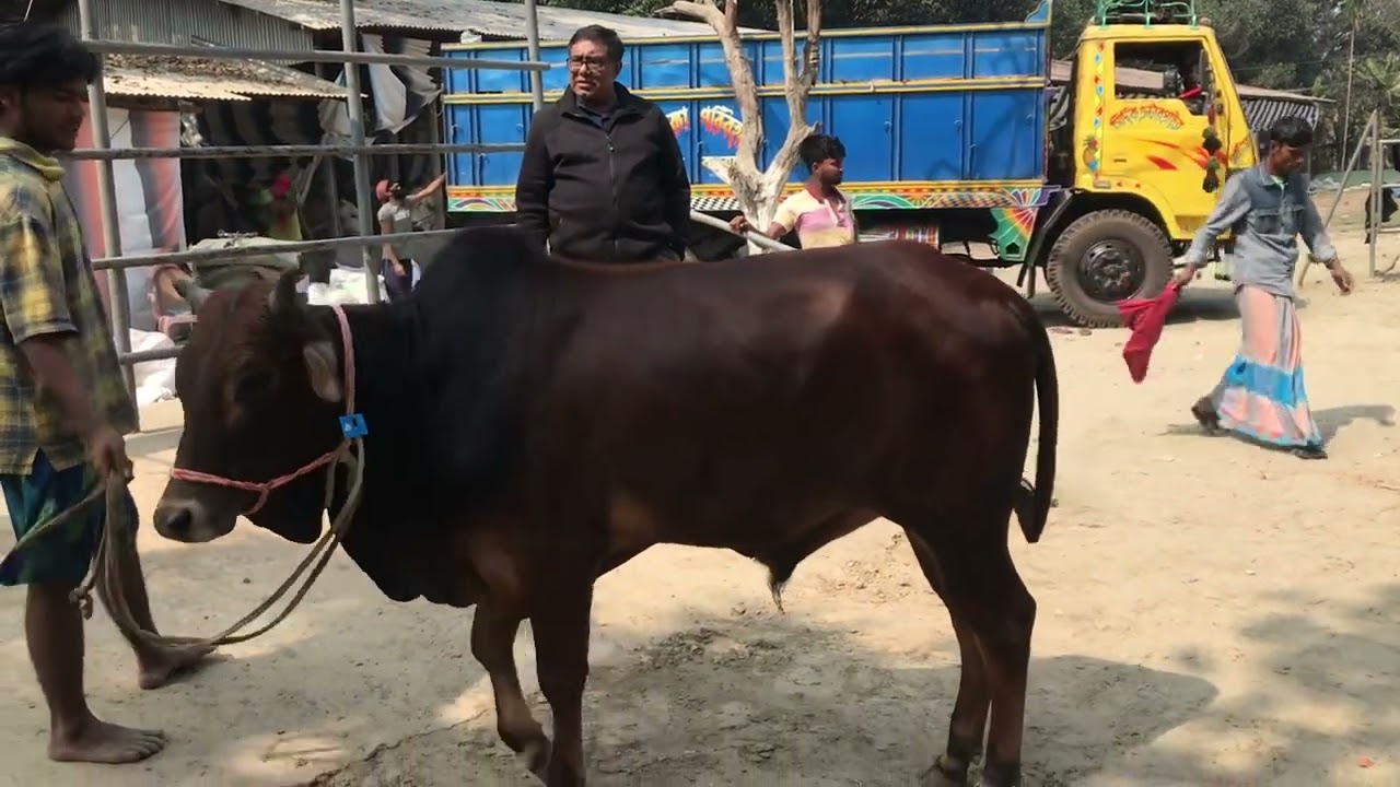 7 ফেব্রুয়ারী, 2026