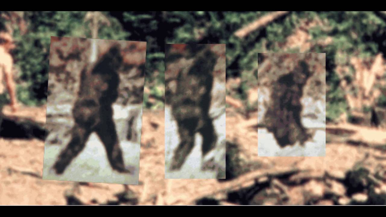 The True size of the Patterson Subject