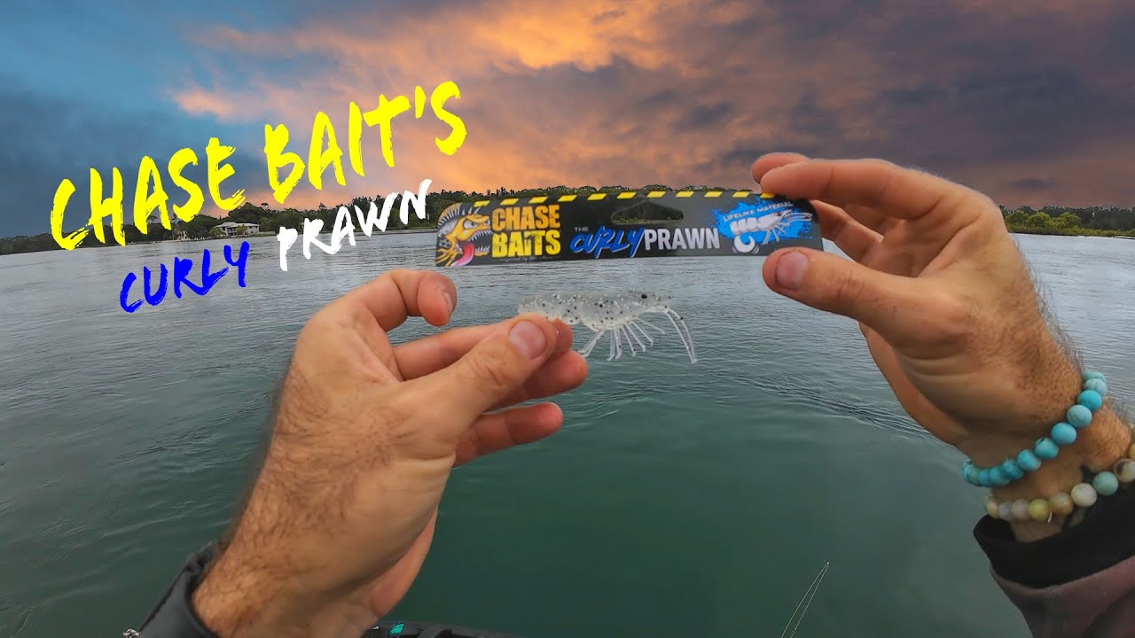 A morning's fishing with the chase Bait curly Prawn