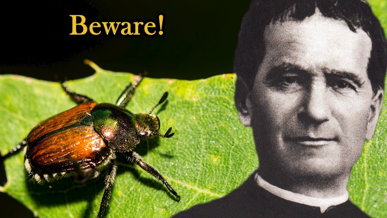 Strange Mystical Vision Warns Don Bosco about Grumbling and Disobedience | Ep. 113