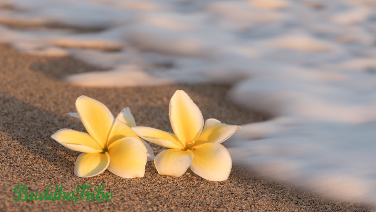 Acalmar a Alma: Musica Relaxante Meditativa, Equilibrar o Esp&igrave;rito, Aliviar Stress, Dormir Bem