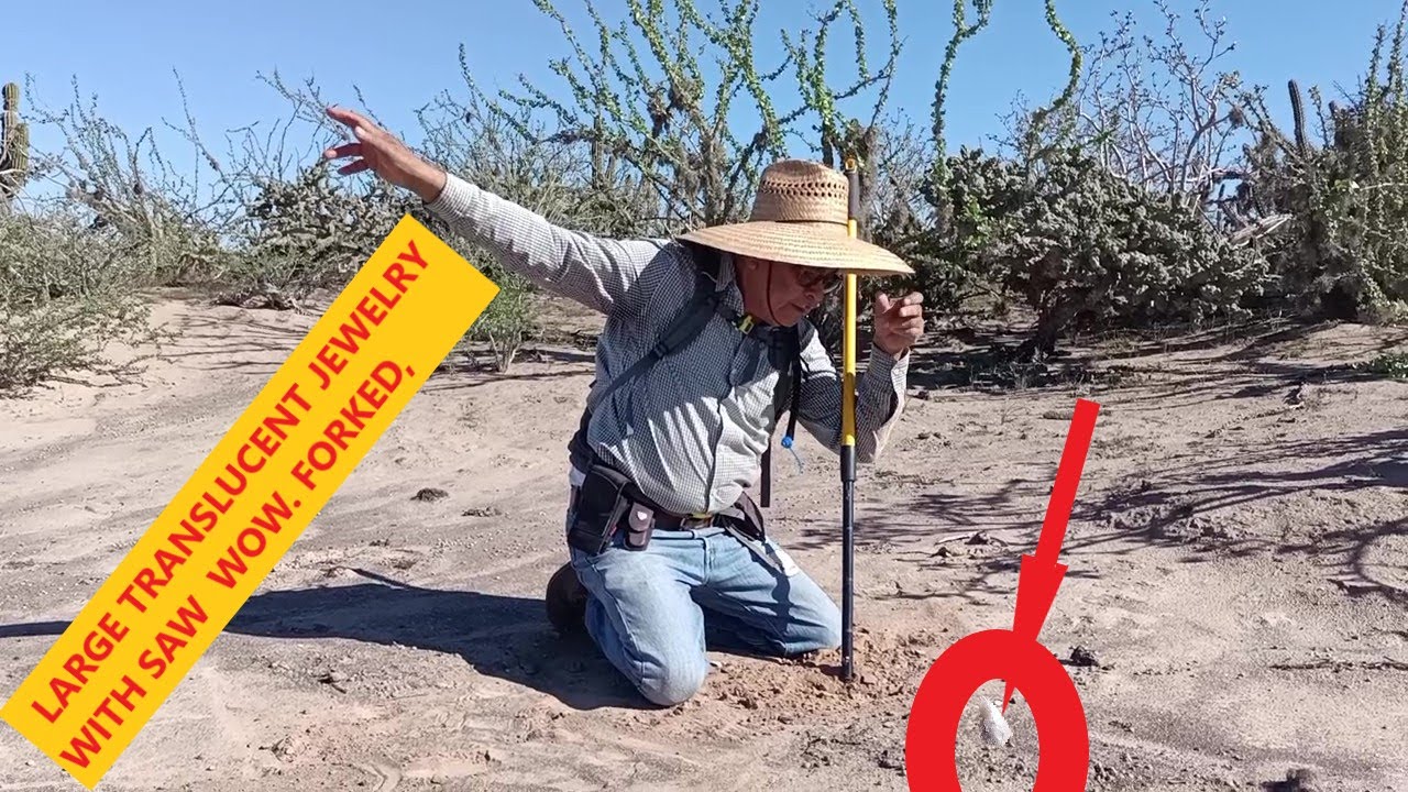 289 ARROWHEAD HUNTING  MOMENTS THAT WILL NOT BE FORGOTTEN