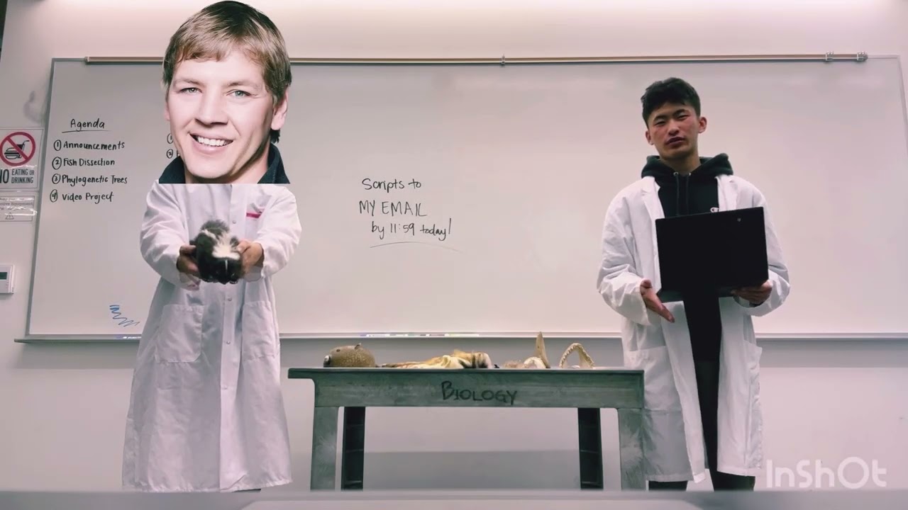 LMU BIOL 111 - Kinorhyncha Video