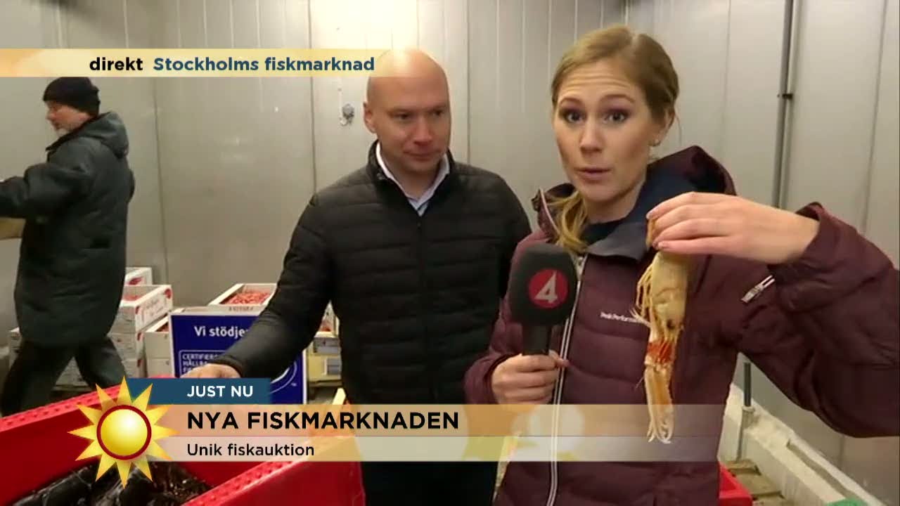 Maria Forsblom på fiskauktion - Nyhetsmorgon (TV4)