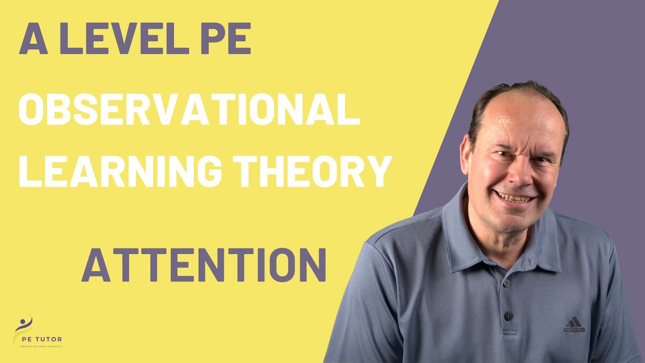 Observational Learning Theory - Attention