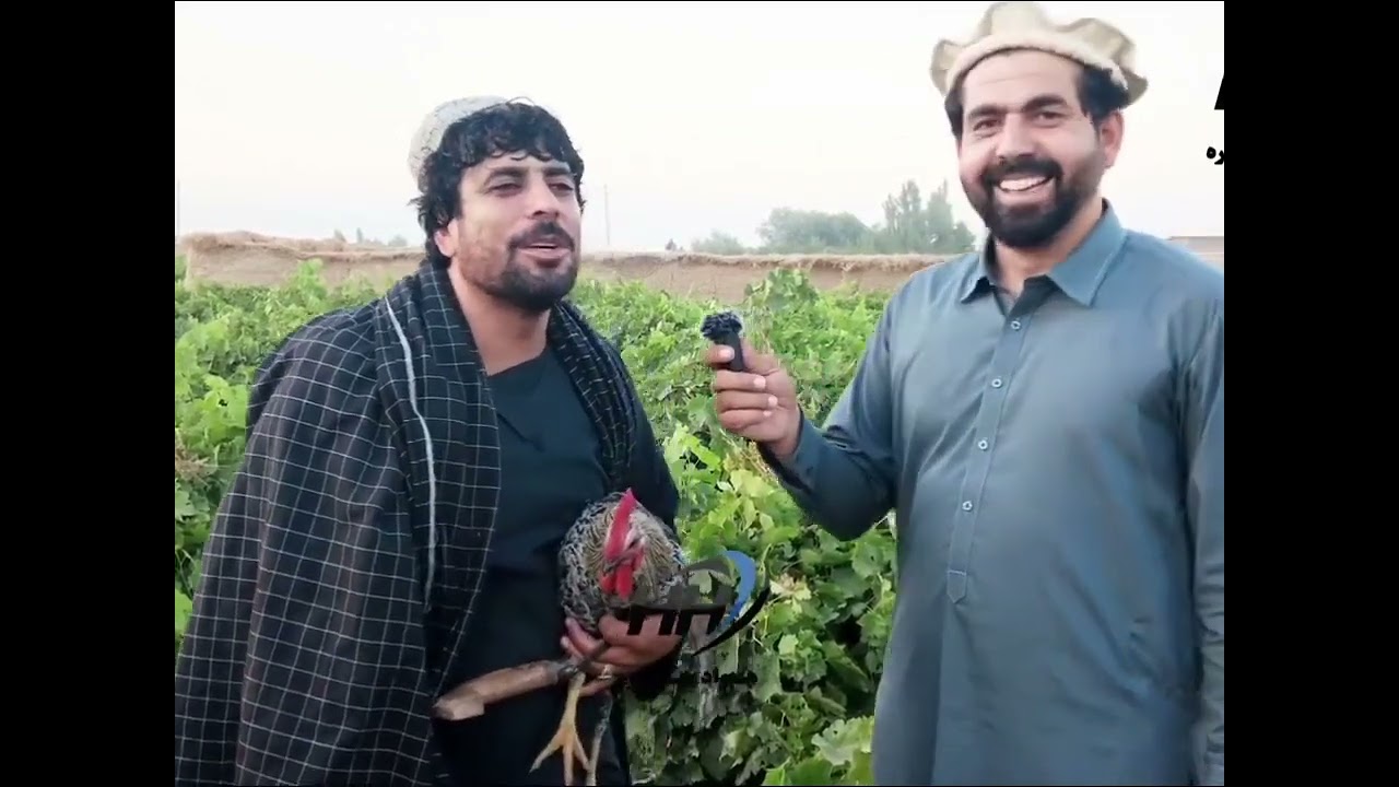 نواب خان او محلص صاحب مرکه