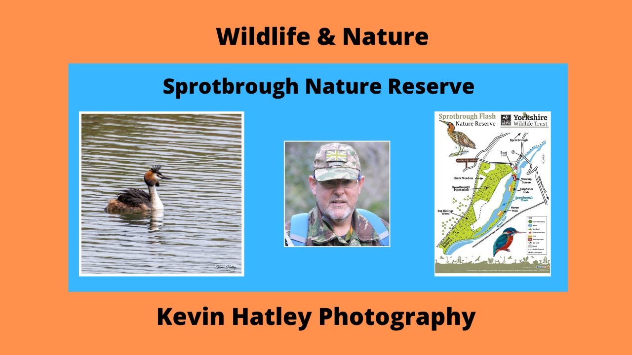 Sprotbrough Flash Nature Reserve