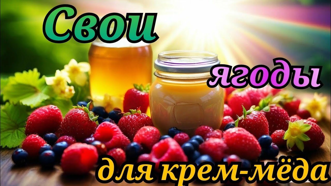 Достойная альтернатива сублимированным ягодам🍓🍒🫐