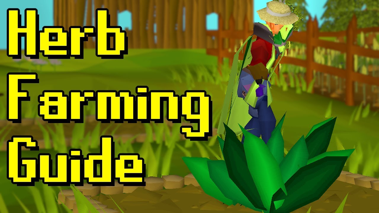 Everything you need to know to do herb runs