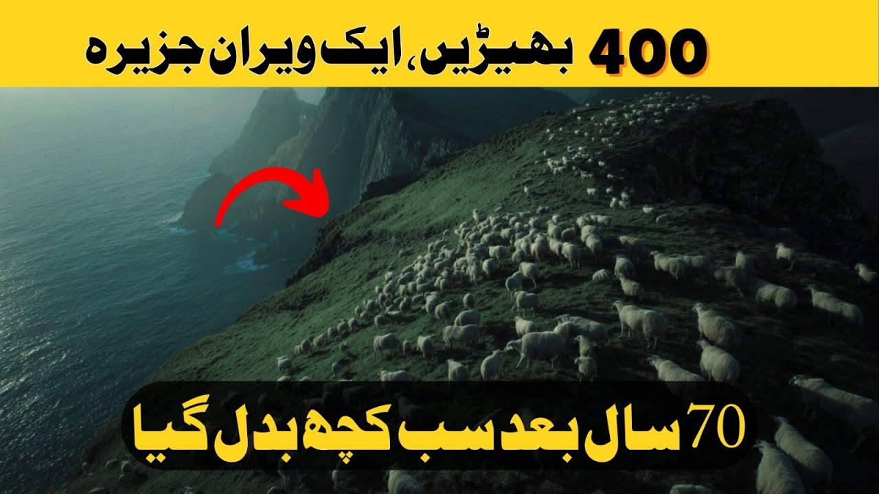 The Shocking Truth About Sheep Surviving on a Deserted Island
