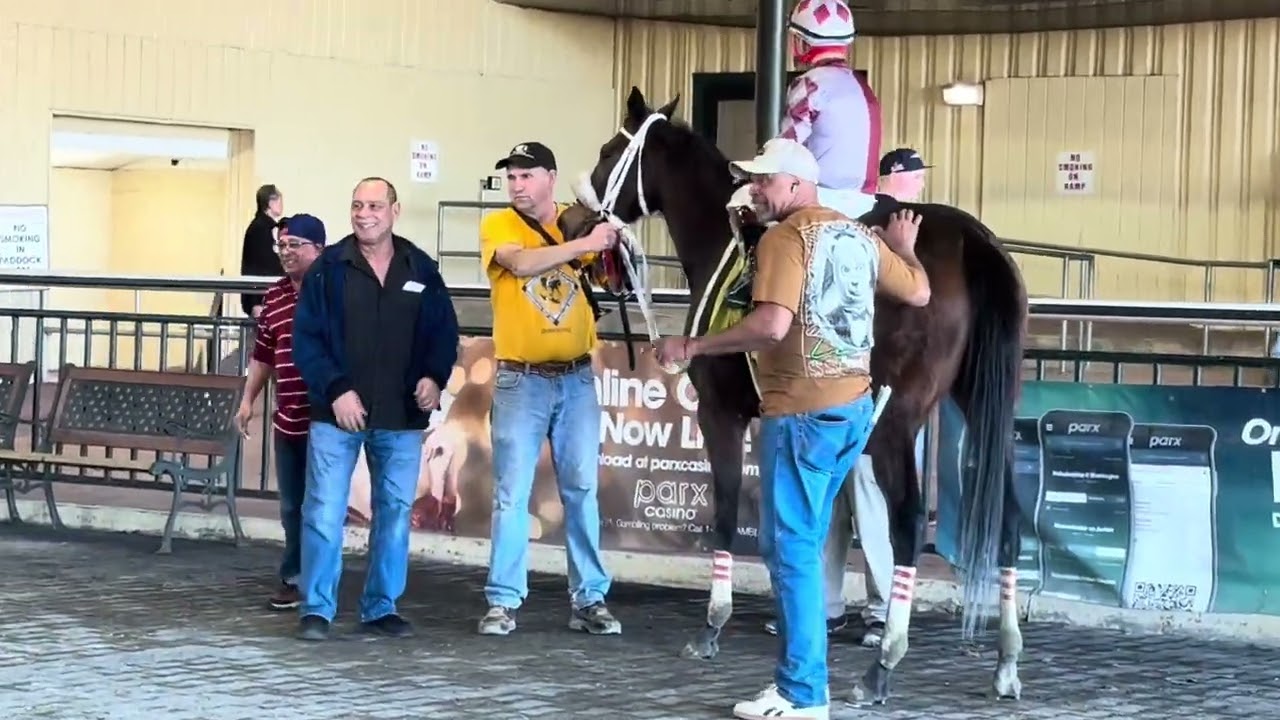 A tale of 2 races with Soundsmischevious as Moon Halory nails her at the wire to win