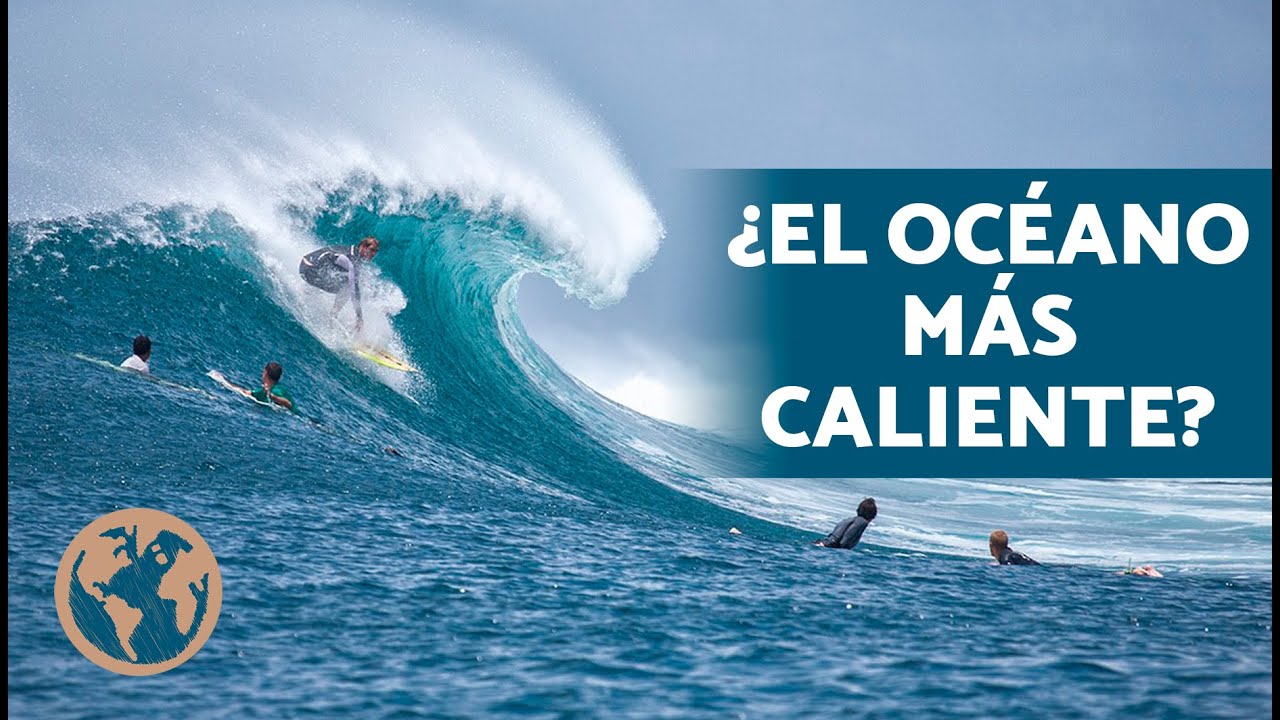 &iquest;C&oacute;mo ES el OC&Eacute;ANO &Iacute;NDICO? 🐠 (Descripci&oacute;n, Caracter&iacute;sticas e Importancia Oc&eacute;ano &Iacute;ndico)