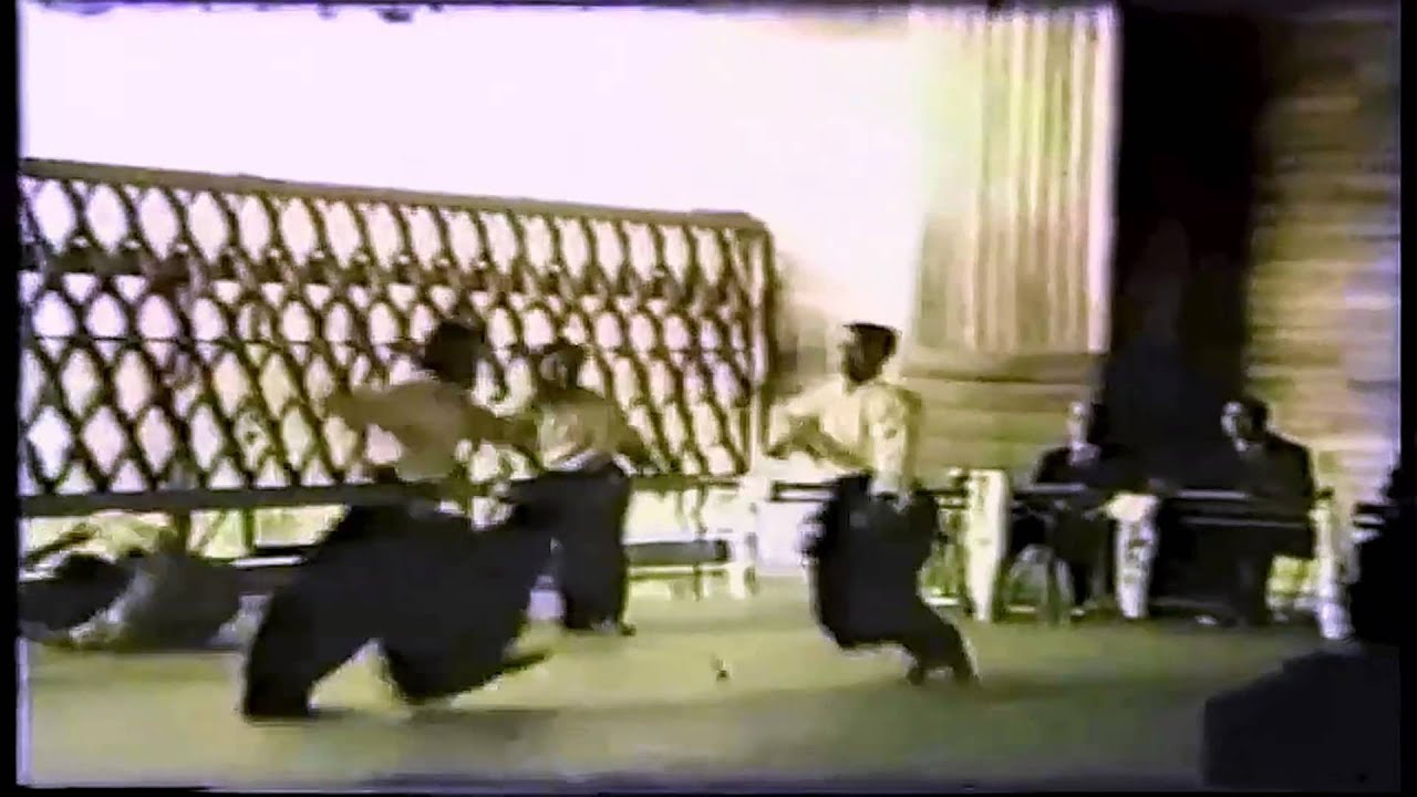 Aikido Video - Randori - Multiple Attackers - Mitsugi Saotome Shihan
