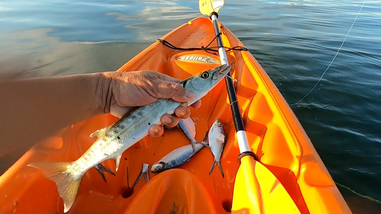PESCA EN KAYAK EN MIAMI