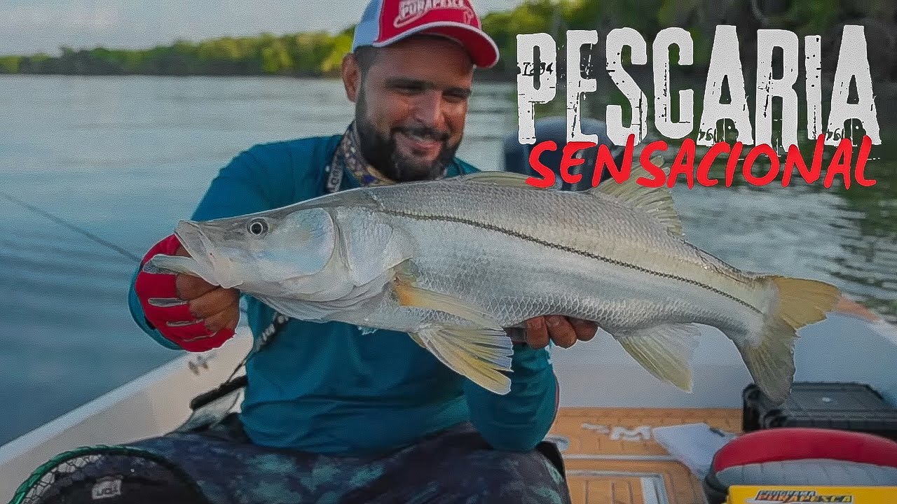 PURA PESCA - TEMP.7ª - EP. 06 - ROBALÕES DO ESTADO DO PARÁ