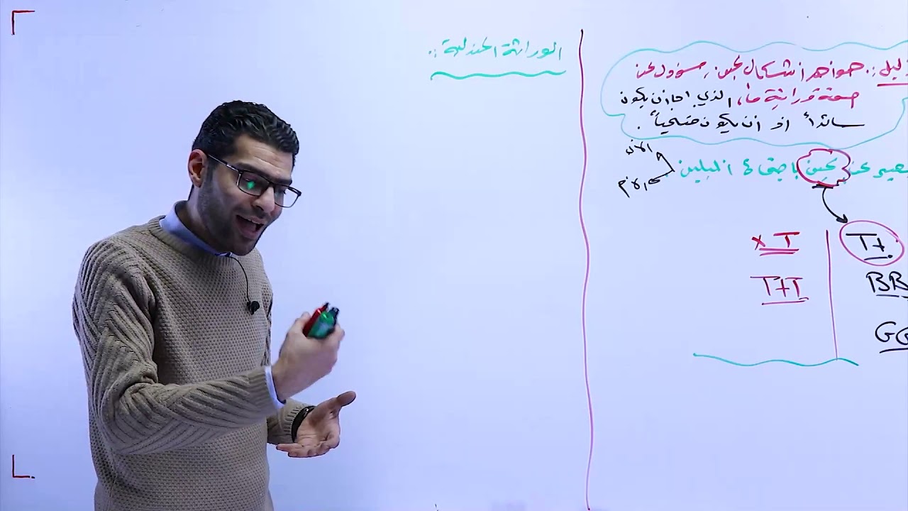 3- الجين ومفهوم الألّيل