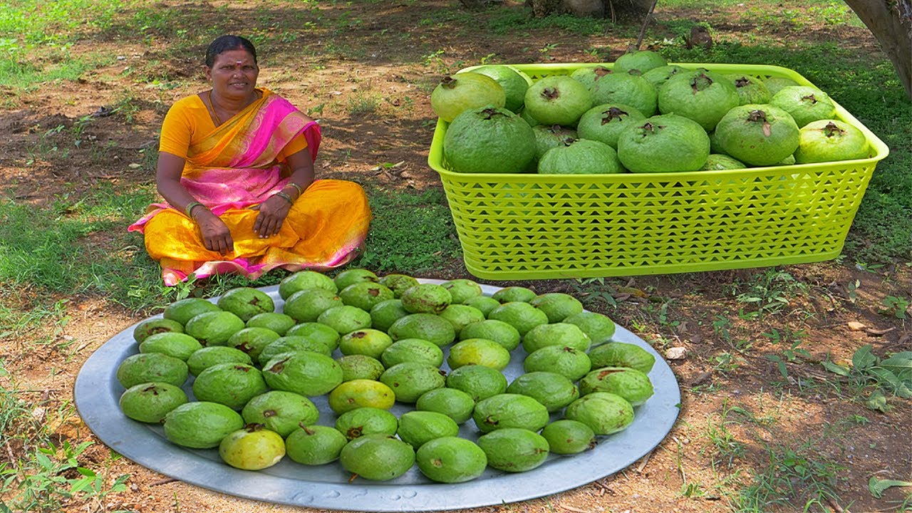 FRESH !! GUAVA PICKLE Recipe | Guava Fruit Cutting | Village Food Cooking | Side Dish Recipes