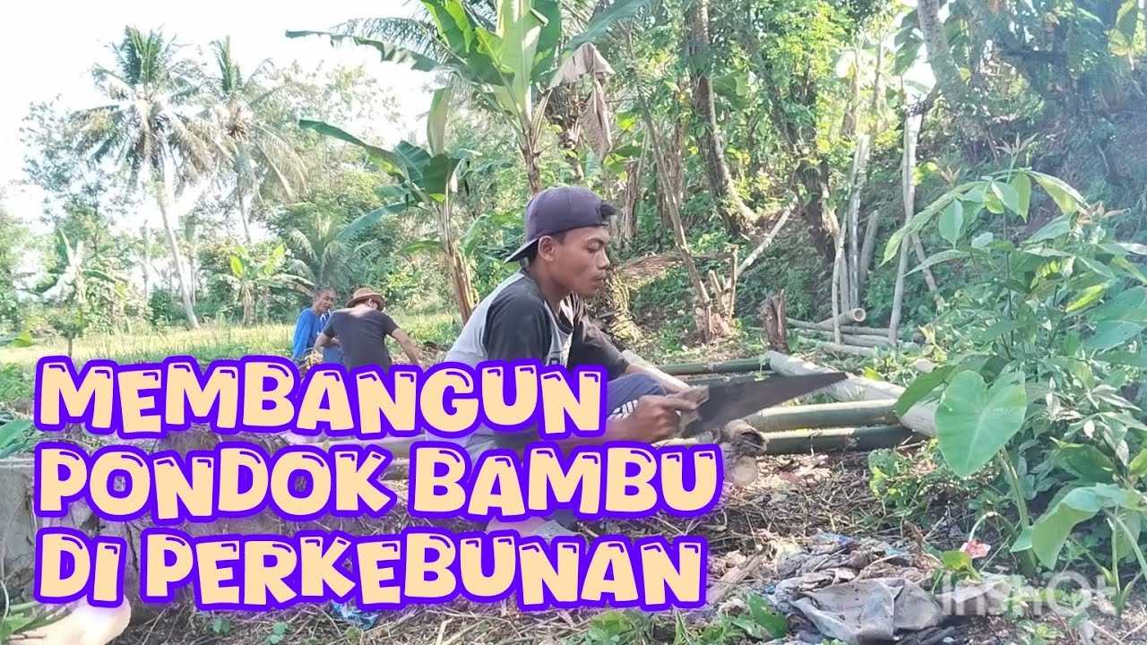 Membangun Pondok Bambu di Perkebunan Eps. 1