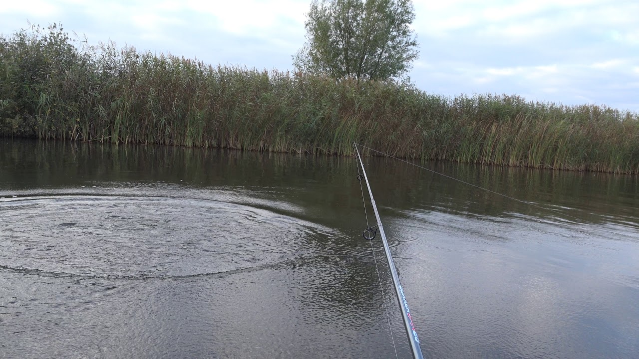 jistrum snoekvissen bergumermeer 20-10-2018