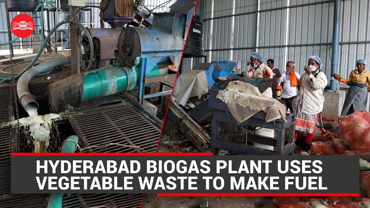 Hyderabad biogas plant uses vegetable waste to make fuel | World biofuel day