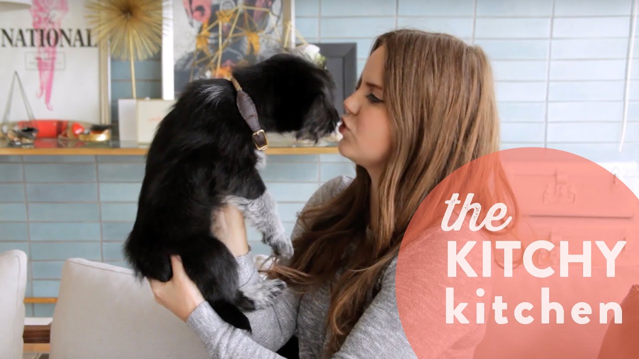 Puppy Supply Haul // Up Close with Claire