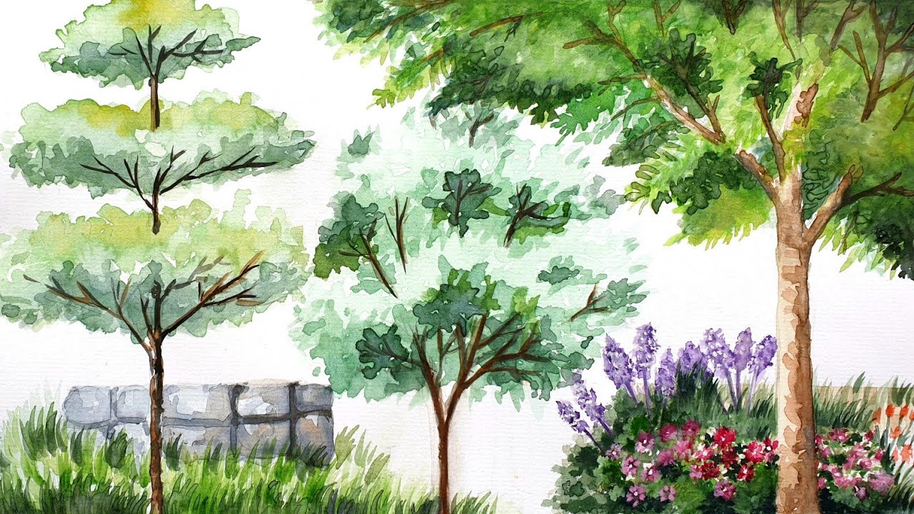 VẼ CÂY BẰNG MÀU NƯỚC