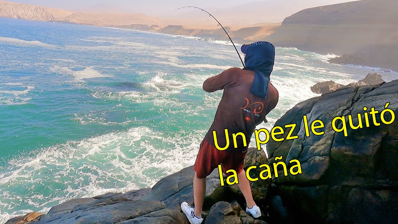 El pez le quito su caña de pescar - Dia de grandes capturas