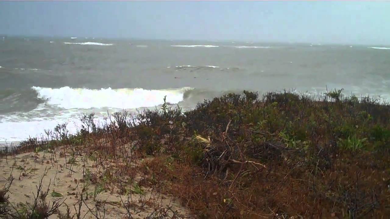 Matha's Vineyard Storm at Wasque with Seals: Chappy 2010