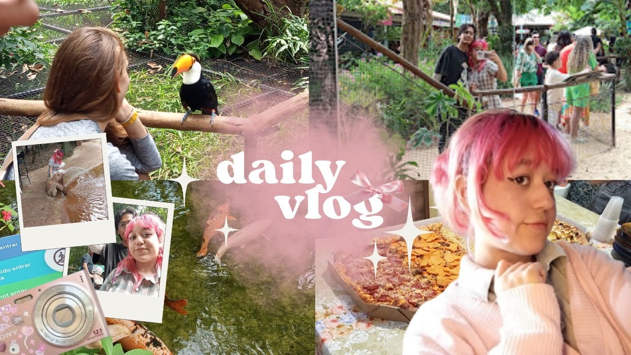 Vlog de viagem🍀 | Foz, parque das aves & passeios