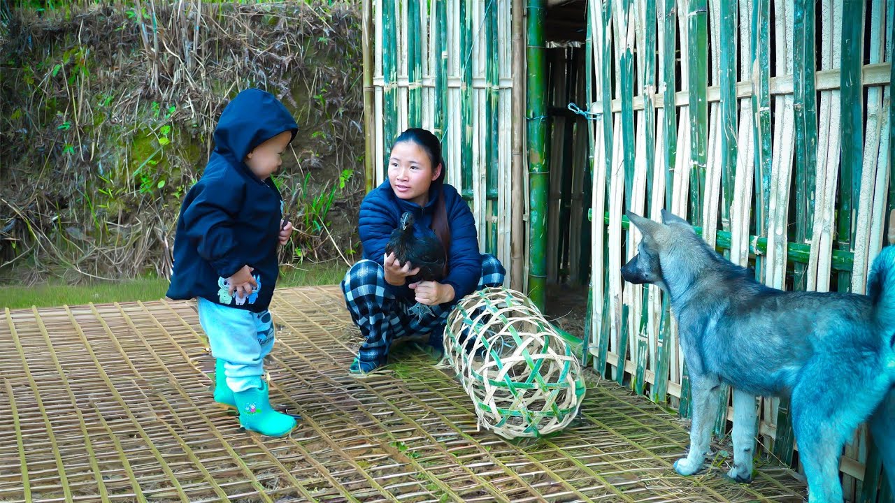 The self-sufficient mountain lifestyle of a single mother